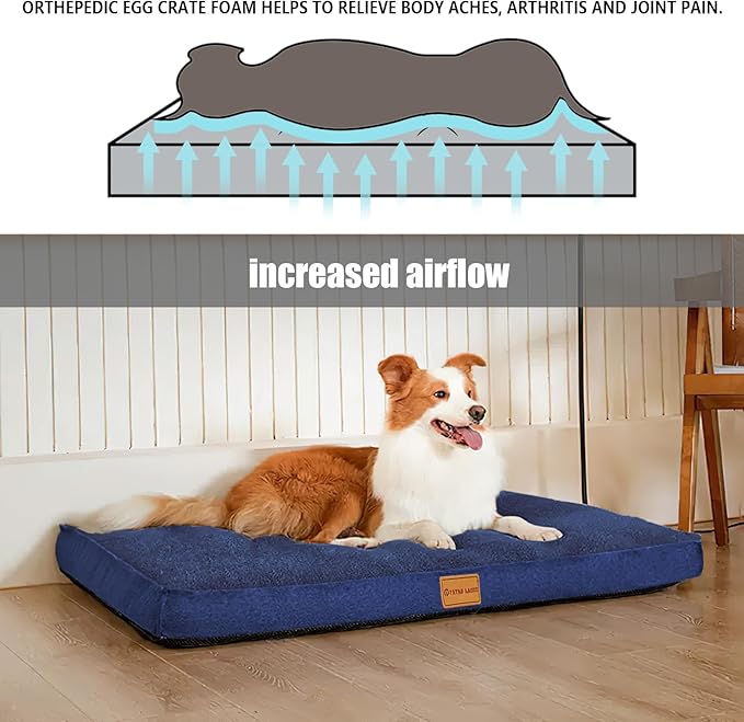Patas Lague Orthopedic XL Dog Bed for Large Dogs 42''X28'', Soft Comfortable Waterproof Egg Crate Foam Big Large Pet Beds Mat with Removable Washable Cover, Navy Blue