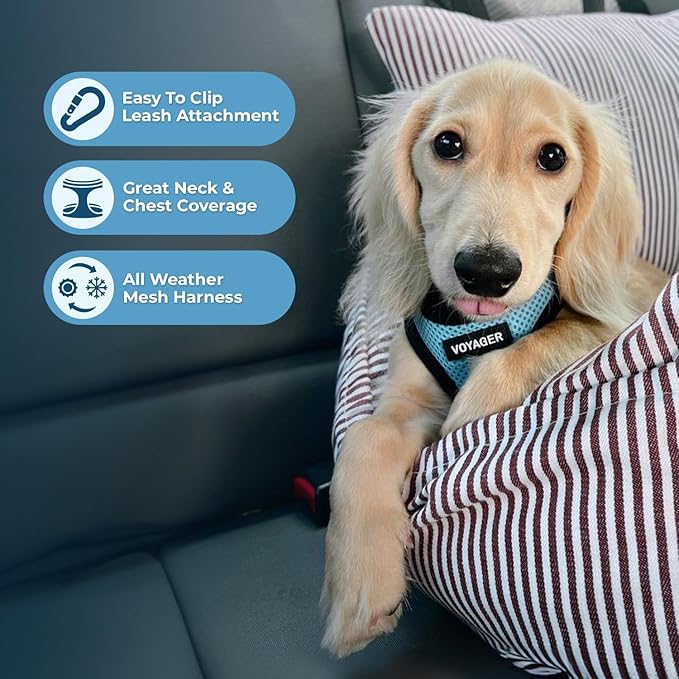 Voyager Step-in Air All Weather Mesh Harness and Reflective Dog 5 ft Leash Combo with Neoprene Handle, for Small, Medium and Large Breed Puppies by Best Pet Supplies - Baby Blue/Black Trim, XX-Small