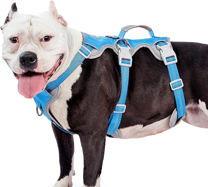 Dog Harnesses Escape Proof, Escape Artist Harness, Reflective Harness with Padded Handle, Breathable, Durable, Adjustable Vest for Large Dogs Walking, Training, and Running Gear (Blue, XL)