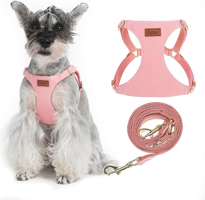 PUPTECK Dog Harness and Leash Set Small Sized, Step-in Cute Puppy Harness, Soft Lightweight Padded Vest, Escape Proof No Pull Pet Harnesses Easy for Walking, Pink, M