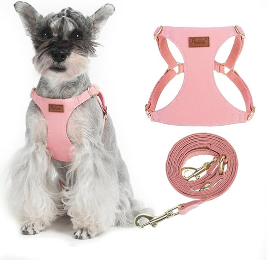PUPTECK Dog Harness and Leash Set Small Sized, Step-in Cute Puppy Harness, Soft Lightweight Padded Vest, Escape Proof No Pull Pet Harnesses Easy for Walking, Pink, M