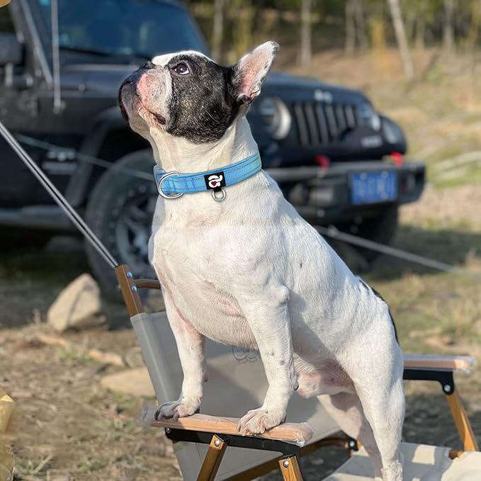 azuza Reflective Dog Collar,Soft Neoprene Padded Pet Collar with ID Tag Ring,Adjustable for Medium Dogs,Sky Blue,M