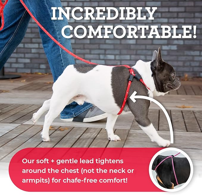 Harness Lead No Pull Dog Harness and Leash Set, Anti Pull Dog Harness, One-Piece Cushioned Rope Safely Prevents Escaping and Pulling *New Insert is Removable (Small/Medium, Rainforest)