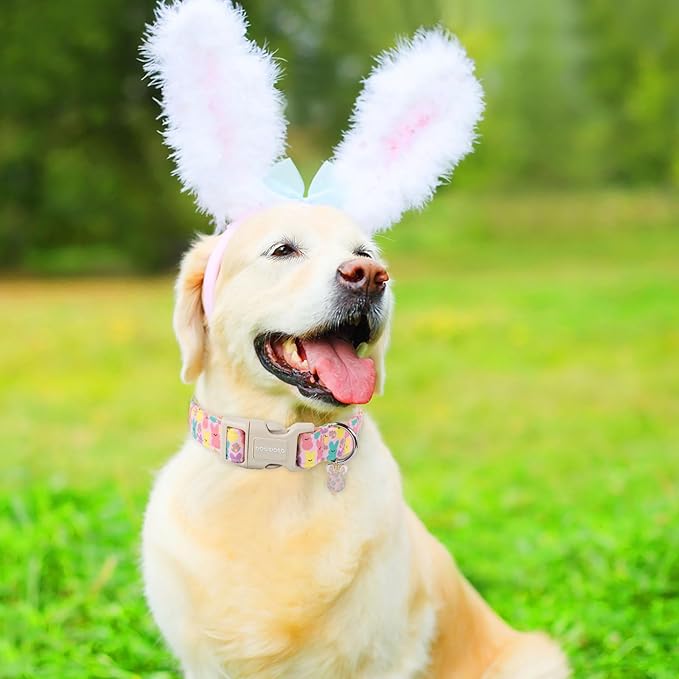 DOGWONG Easter Bunny Eggs Adjustable Soft Collar for Large Dogs