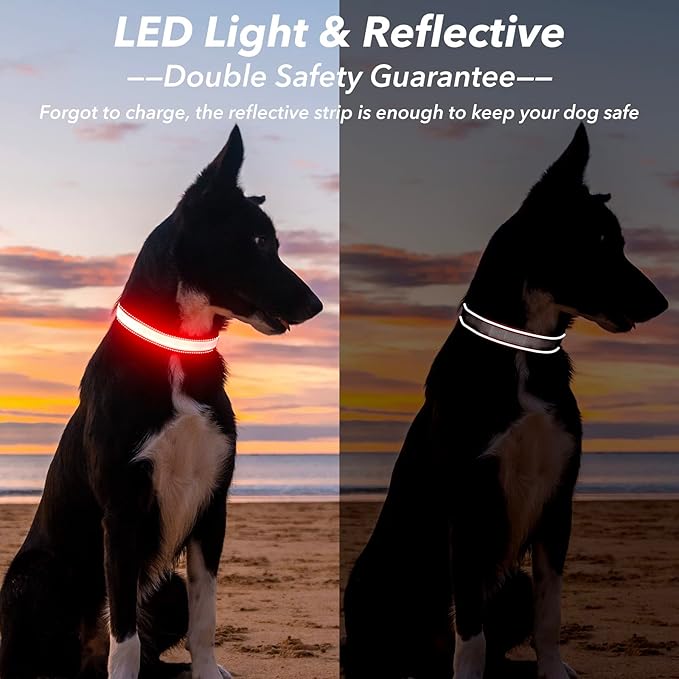Visinite LED Dog Collar USB Rechargeable, Reflective Light Up Pet Collar for Night Walking, Adjustable Glow Collar for Small Medium Large Dogs(Red, M)