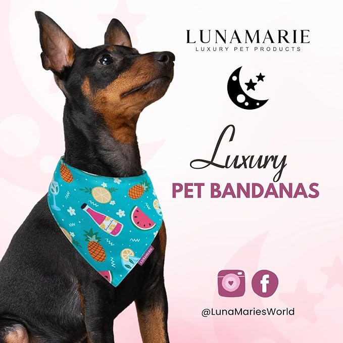 Luxury Pet Birthday Bandanas -Premium & Silky Poly Fabric | 100% Handmade | Custom Shape Dual Layered (Sippin' Poolside, Large)