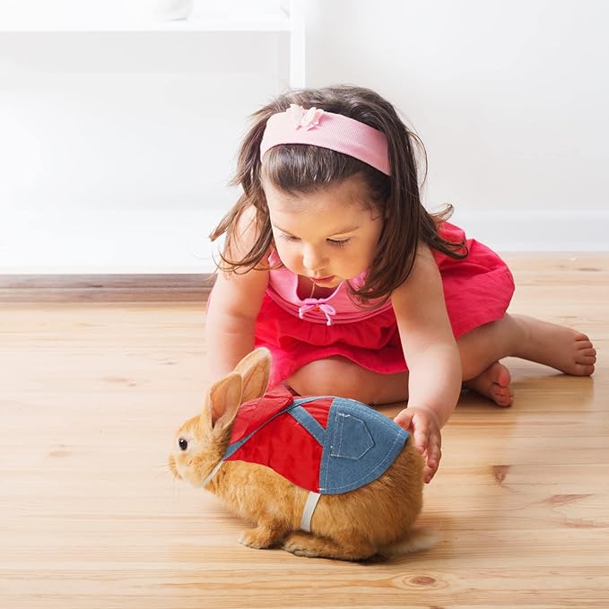 Rabbit Harnesses and Leashes Rabbit Supplies Bunny Walking Harnesses Leashes Suitable for Walking with Kittens and Puppies(Small,Red)