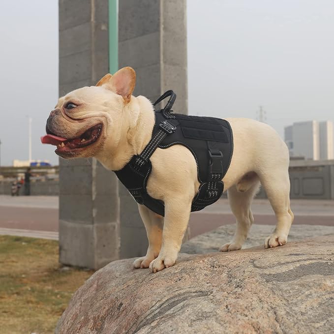 ICEFANG Tactical Dog Harness, Small Size,2X Metal Buckle,Working Dog MOLLE Vest with Handle,No Pulling Front Leash Clip,Hook and Loop Panel