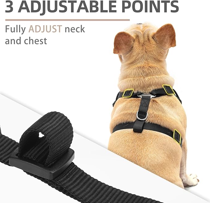 PUPTECK Dog Harness and Leash Set for Small Medium Dogs No Pull, Soft Mesh Adjustable Puppy Cat Harness Reflective at Night, Black M