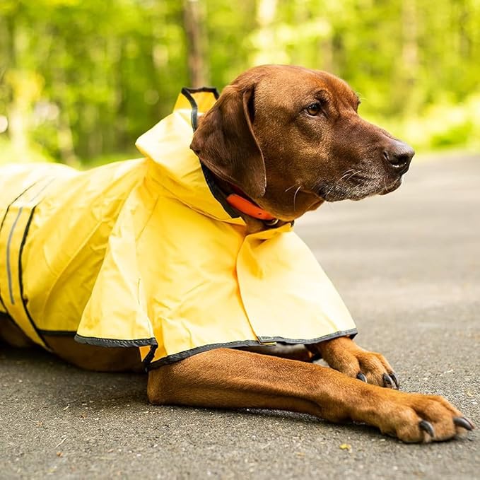 SPOT Rainy Days Slicker - Yellow Dog Rain Jacket With Hood, Reflective Strip for Safety, Leash Hole & Adjustable Velcro Belly Strap, 100% Polyester Water Resistant Pet Raincoat - X-Large, 21in Long