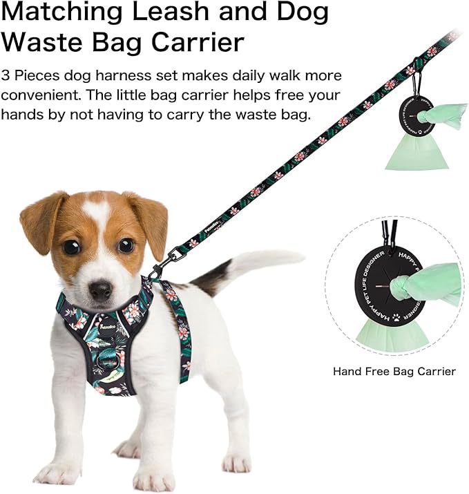 Petmolico Dog Harness for Small Dogs, Cute Harness Vest with Two Leash Clips and Soft Handle, Reflective Easy Walk Puppy Vest - Black Lotus, X-Small