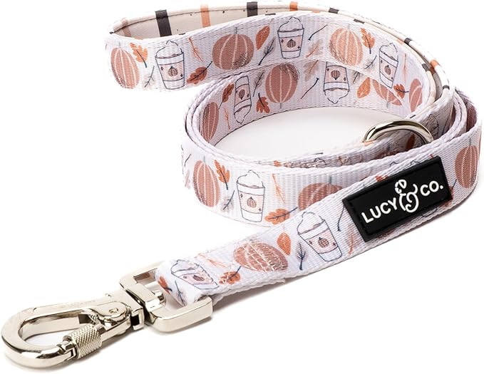 Lucy & Co. 5 Foot Designer Dog Leash - Awesomely Autumn, Perfect for Big, Small, or Medium Dogs - Puppy Leash - Dog Accessories - Small