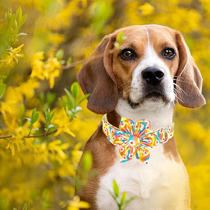 Lionheart glory Dog Collar with Flower, Sunflower Pattern Pet Collar Durable Cute Dog Flower Collars Summer Spring Female Pet Gift Adjustable Dog Collar for Small Dogs