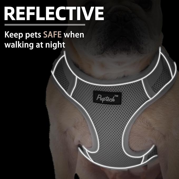 PUPTECK Dog Harness and Leash Set for Small Medium Dogs No Pull, Soft Mesh Adjustable Puppy Cat Harness Reflective at Night, Grey XS