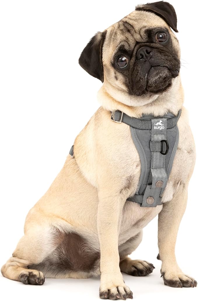 Kurgo Enhanced Strength Tru-Fit Smart Dog Harness, Charcoal, Small - Crash Tested Car Safety Harness for Dogs, No Pull Dog Harness, Includes Pet Safety Seat Belt Tether, Steel Nesting Buckles