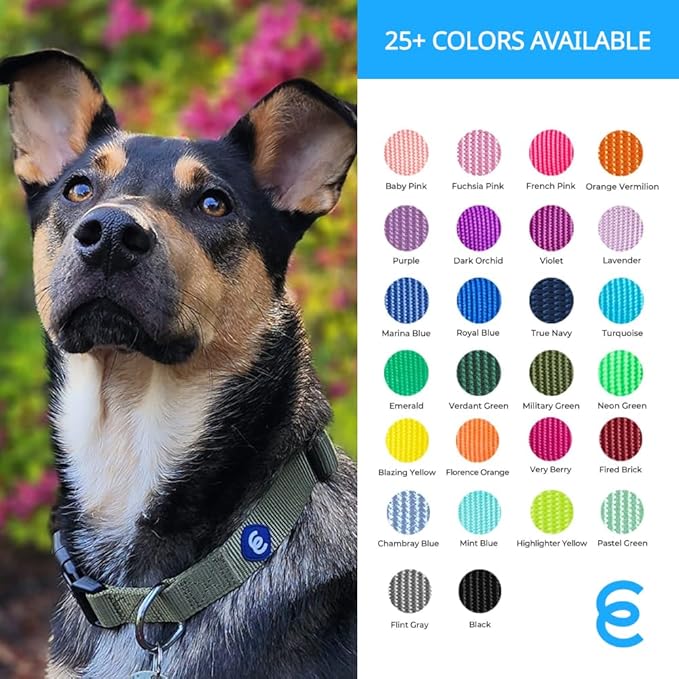 Blueberry Pet Dog Collar - Adjustable Nylon Dog Collars for Medium Dogs | Marinara Blue | Eco-Friendly, Durable, No Chew, Reflective Puppy Collar with D-Ring | Essentials for Active Dogs