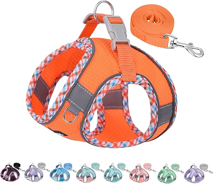AIITLE XXS Dog Harness & Leash Set - Breathable Reflective No-Choke Small Dog Harness for Teacup Puppies, Indoor/Outdoor Use - Boston Terrier, Maltese, Chihuahua (Orange, XXS)
