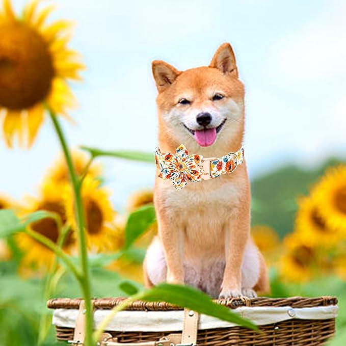Lionheart glory Dog Collar Flowers Collar Floral Dog Collar with Flower Spring Summer Cute Collar Dog Boy or Girl Dog Collars Soft Durable Adjustable Dog Collars for Medium Dogs