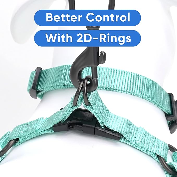 Pawtitas Step-in Dog Harness Solid Color Vest for Training & Walking, Puppy & Small Dog Teal