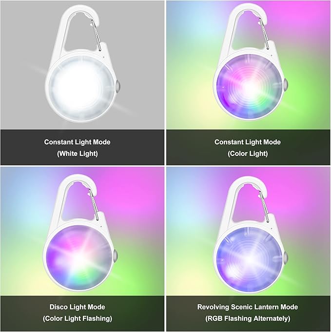 Dog Collar Light, 4 Modes Dog Lights for Night Walking, Rechargeable Pet Collar LED for Nighttime Clip on, IP68 Waterproof Pet Walking Accessories-2 Pack(White)