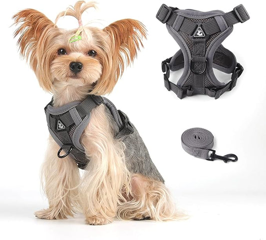 Vest Harness Leash Set for Small Dog Large Cat Outdoor Walking, Upgraded Escape Proof Adjustable Jacket with Lead for Puppy Fat Cat, Soft Breathable Mesh Coat with Reflective Strip, XL Gray