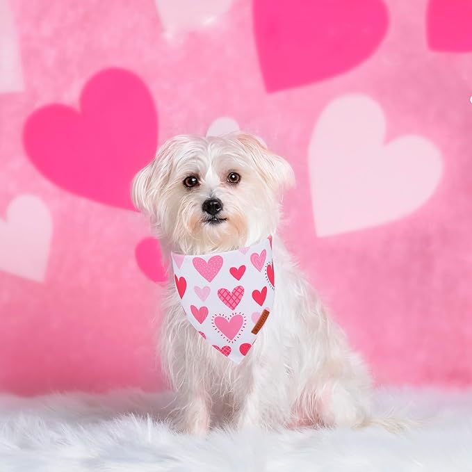ADOGGYGO Valentine Dog Bandana, Colorful Heart Pet Scarf, Multi Size Offered, White Blue Valentine Heart Bandanas for Small Dogs (Small)