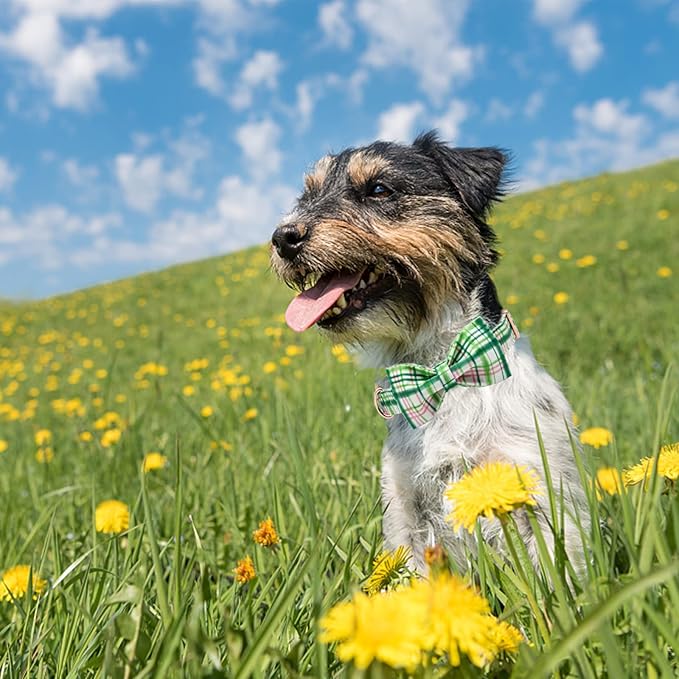 Elegant little tail Dog Collar with Bow - Pink with Green Plaid Boy or Girl Dog Collar Cute Bowtie Pet Collar Adjustable Dog Collar for Small Puppy
