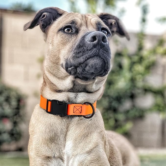 Dogline Biothane Waterproof Dog Collar with Quick Release Buckle Strong Coated Nylon Webbing with Odor- Proof for Easy Care Easy to Clean Fits Small Medium or Large Dogs, Orange 1" W 15-23" L