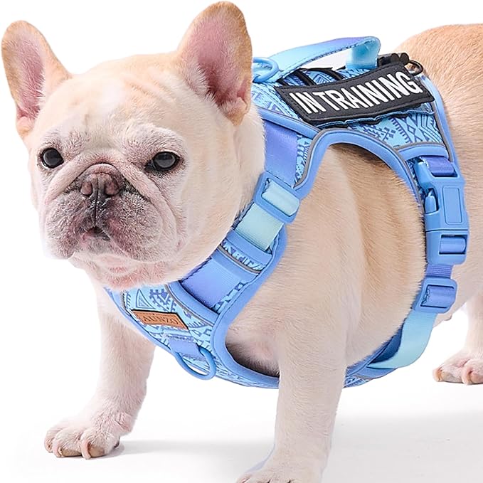 Light Dog Harness for Small Dog Breeds, French Bulldog Puggle Terriers, No-Pull Pet Harness with 2 Leash Clips, Adjustable Soft Padded Dog Vest, Reflective No-Choke Pet Oxford Vest, Blue, Small
