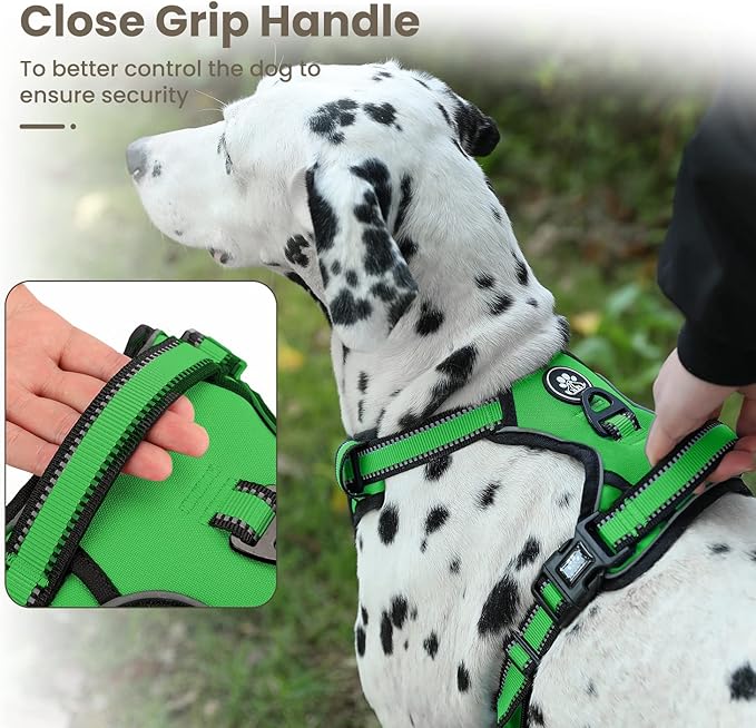 FURRYFECTION Dog Harness | No Pull Dog Harness | Reflective Oxford | Padded Handle | 4 Adjustable Straps | 2 Leash Clips | No Choke Pet Vest Harness for Small Medium Large Dogs | Green | S