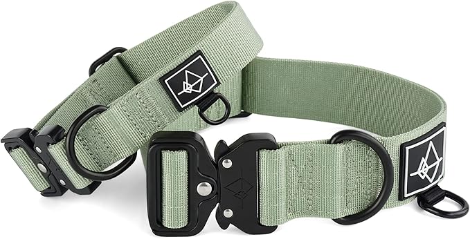 Made to ROAM Premium Dog Collar - Adjustable Heavy Duty Nylon Collar with Quick-Release Metal Buckle (Washington Rain, Classic Size 3)