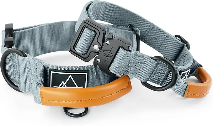 Made to ROAM Premium Explorer Control Collar - Adjustable Heavy Duty Nylon Dog Collar with Quick-Release Metal Buckle and Handle (Virginia Mountains, Control Size 2.5)