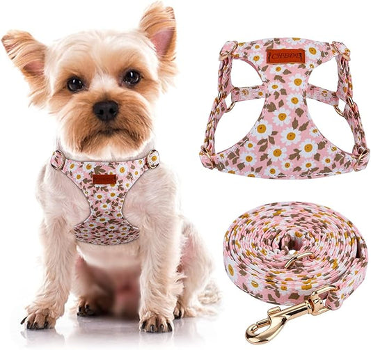 CHEDE No Pull Floral Pattern Dog Harness- Lightweight, Soft, Adjustable Small Harness and Leash Set, Suitable for Puppy Small and Medium-Sized Dog (XXS, Pink Daisy)