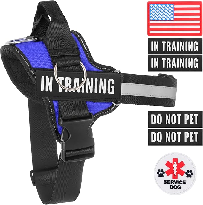 Essential Dog Harness, No Pull Pet Harness with 3 Side Rings for Leash Placement, No Choke, Reflective, Adjustable Pet Vest, Easy On-Off & Improved Control Handle, Training, Walking, Running Blue