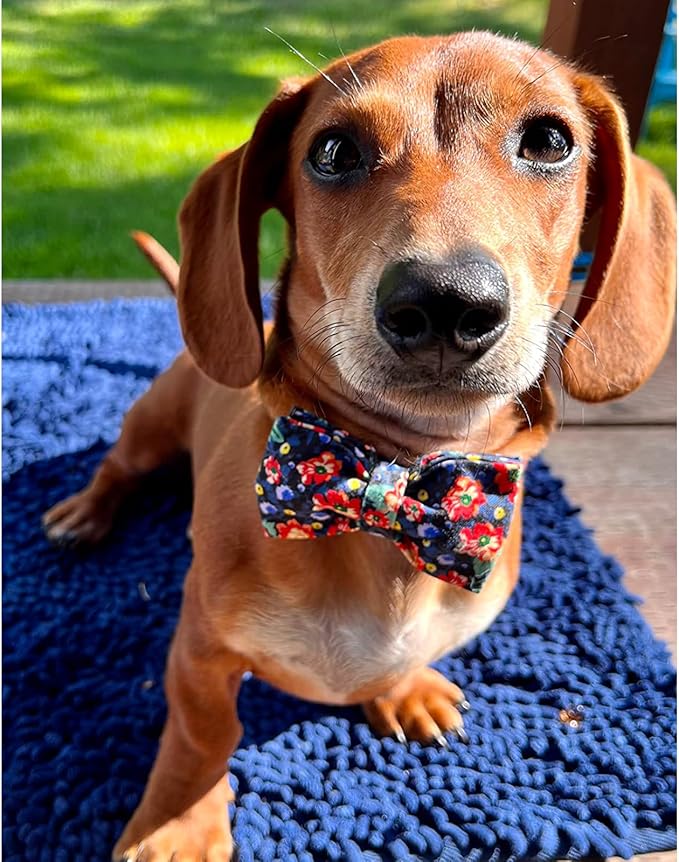 Lionheart glory Premium Floral Dog Collars, Bowtie Dog Collar, Adjustable Heavy Duty Dog Collar with Bow for Large Dogs