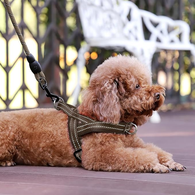 Plutus Pet No Pull Dog Harness with Breathable Mesh Padded, Adjustable Reflective Escape Proof Dog Harness, Quick Fit Dog Vest Harness for Small Medium Large Dogs(XL, Chocolate)