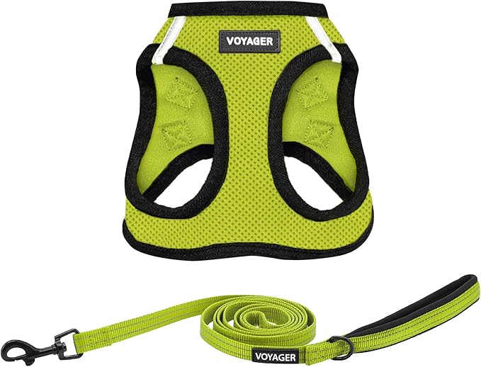 Voyager Step-in Air All Weather Mesh Harness and Reflective Dog 5 ft Leash Combo with Neoprene Handle, for Small, Medium and Large Breed Puppies by Best Pet Supplies - Lime/Black Trim, X-Large