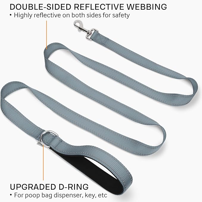 Joytale Double-Sided Reflective Dog Leash, 6 FT/5 FT/4 FT, Padded Handle Nylon Heavy Duty Leashes for Medium & Large Dogs Walking, Gary, 6FT