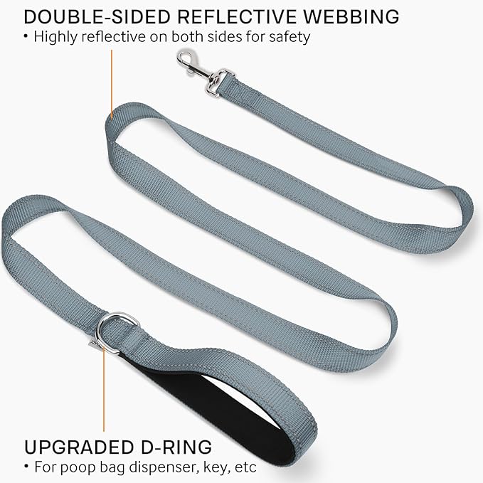 Joytale Double-Sided Reflective Dog Leash, 6 FT/5 FT/4 FT, Padded Handle Nylon Heavy Duty Leashes for Small & Medium Dogs Walking, Gary, 6FT