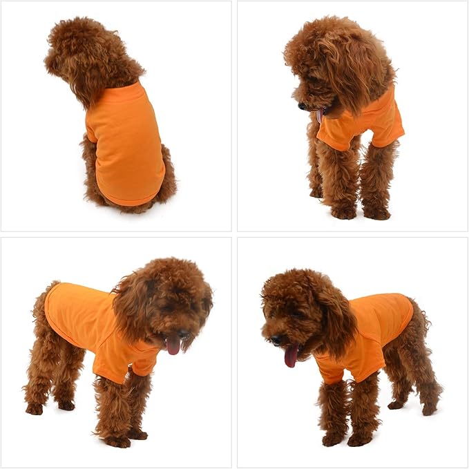 Lovelonglong Pet Clothing Dog Costumes Basic Blank T-Shirt Tee Shirts for Small Dogs Orange XS