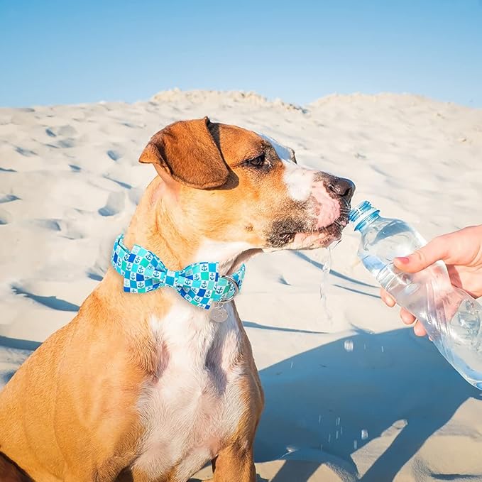 Dog Collar with Bow Tie, Comfortable Cotton Summer Dog Bowtie Collar, Durable Metal Buckle Cute Pet Collar for Small Girl Boy Dog, S