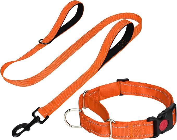 FunTags Reflective Martingale Collar for Dogs, Quick Release Buckle, 5FT Double Handle Dog Leash Padded, Dog Collar and Leash Set, Adjustable for Small Dogs (Orange, S)