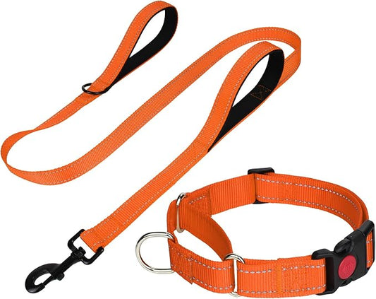 FunTags Reflective Martingale Collar for Dogs, Quick Release Buckle, 5FT Double Handle Dog Leash Padded, Dog Collar and Leash Set, Adjustable for Large Dogs (Orange, L)