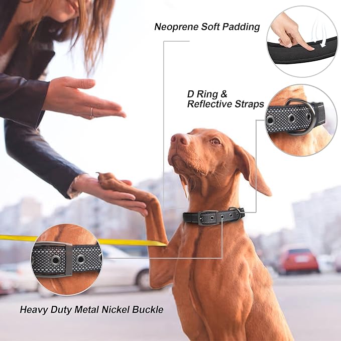 PetiFine Neoprene Padded Dog Collar, Heavy Duty Comfort Dog Collar with Durable Metal Buckle, Reflective Adjustable Belt Buckle Dog Collars for Small Medium Large Dogs(14.5''-19'', Black)