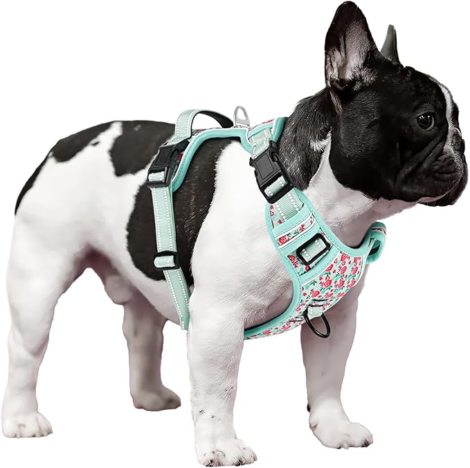 Timos Dog Harness, No-Pull Pet Harness with 2 Leash Clips, Adjustable Soft Padded Dog Vest, Reflective Outdoor Pet Oxford Vest with Easy Control Handle,Cyan,XS