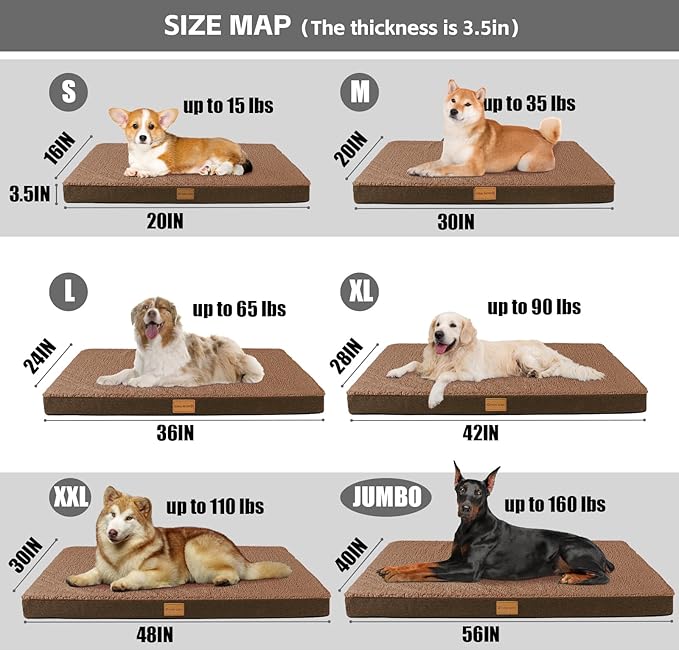 Patas Lague Orthopedic Dog Bed for Medium Dogs, Soft Comfortable Waterproof Egg Crate Foam Medium Pet Beds Mat with Removable Washable Cover, 30''X20'' Brown