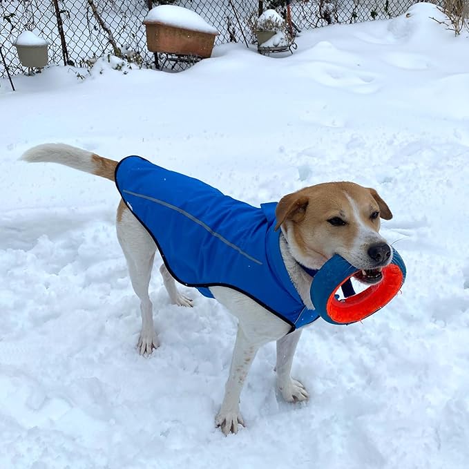 Mile High Life Dog Raincoat, Adjustable Waterproof Reflective Rain Jacket for Small Medium Large Dogs, Lightweight Breathable Pet Rain Coat with Leash Hole(Blue,XS Chest 17-23")