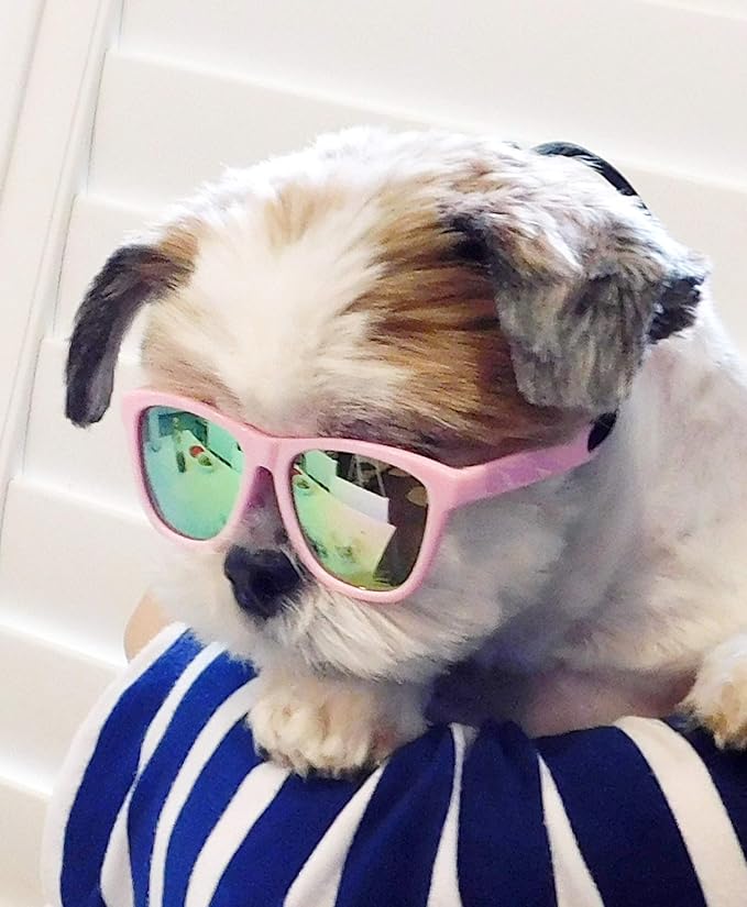 G014 Dog Cat Pet 80s Sunglasses Goggles for Small Breeds up to 15lbs (Pink-Pink Mirror)