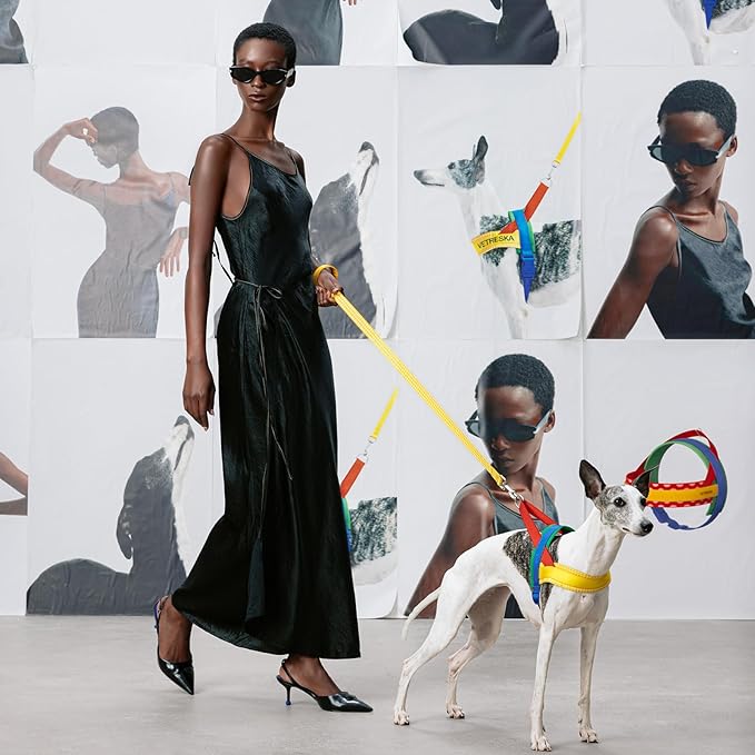 VETRESKA MoMA Dog Harness for Medium Large Dogs, Easy Walk Dog Harness and Leash Set, No Pull Dog Vest Harness for Walking and Training, Adjustable, Take Control & Anti-Twist Pet Lead Combo(Yellow, M)