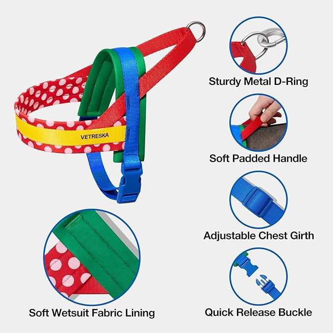 VETRESKA MoMA Dog Harness and Leash Set, Easy Walk Dog Harness for Large Dogs, No Pull Puppy Harness for Walking and Training, Adjustable, Take Control & Anti-Twist Pet Lead Combo(Red, L)